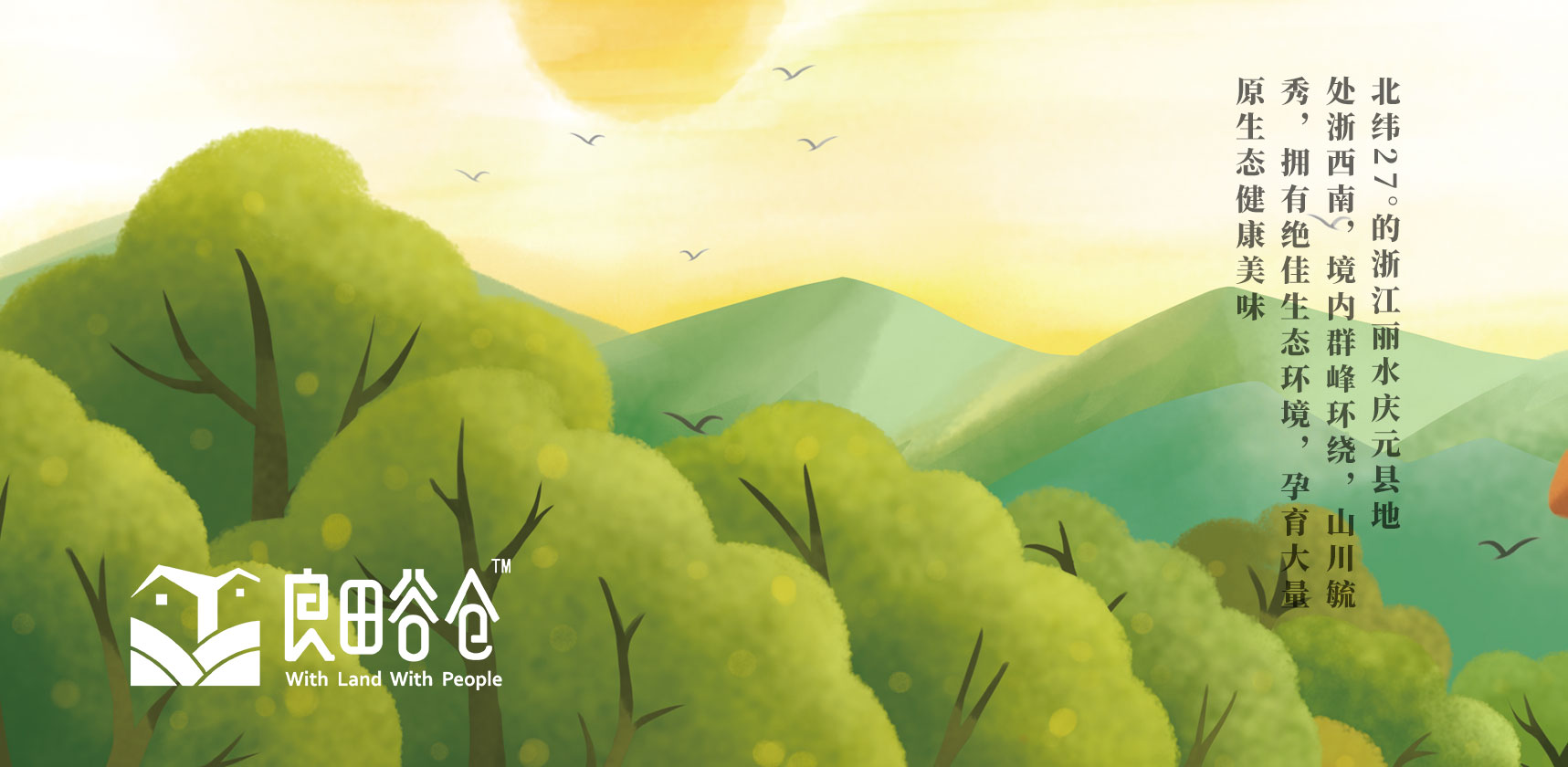 庆元橘柚包装插画设计1