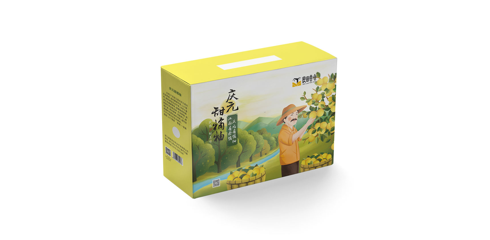 庆元橘柚包装箱设计