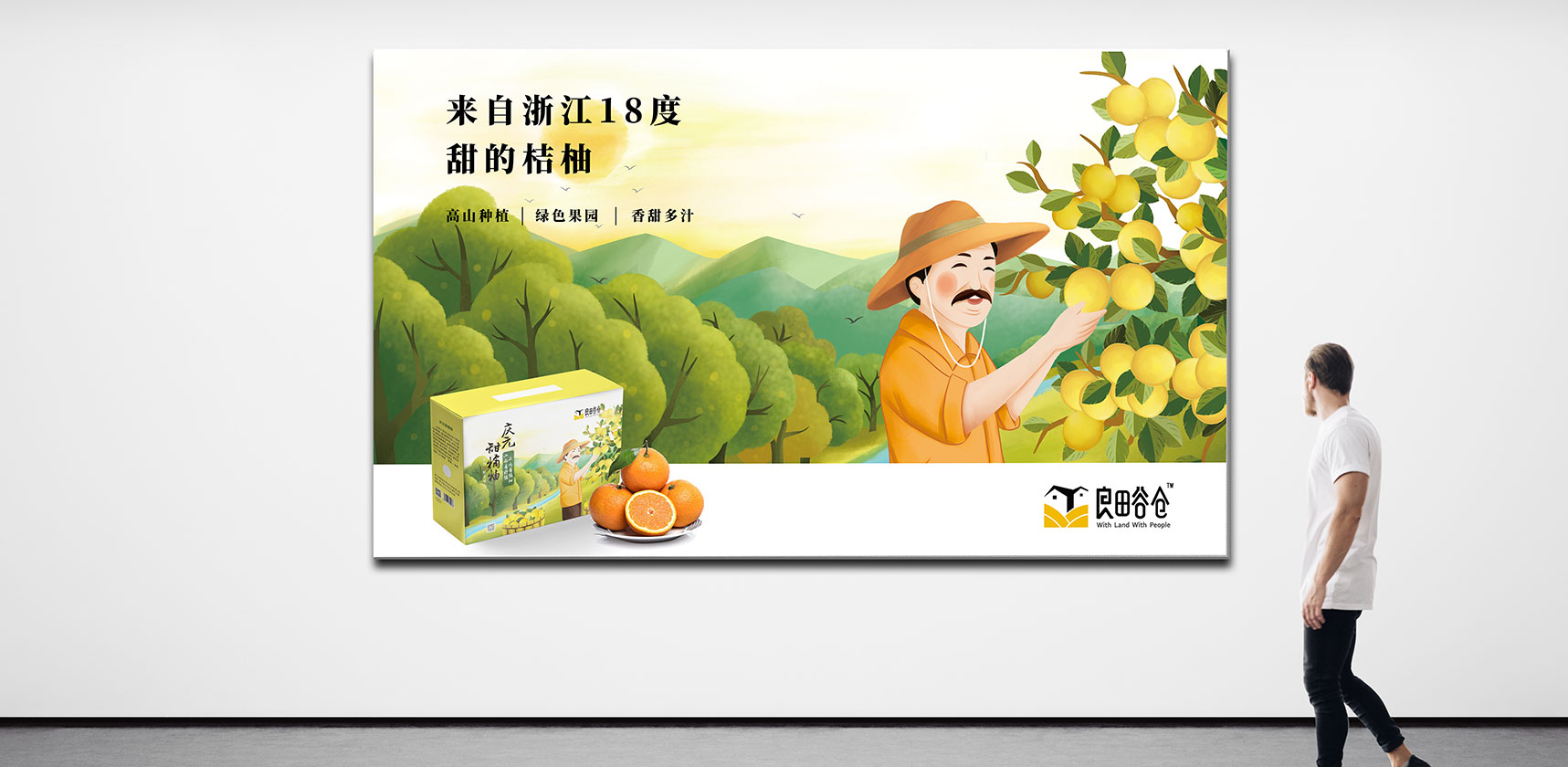 庆元橘柚包装海报设计