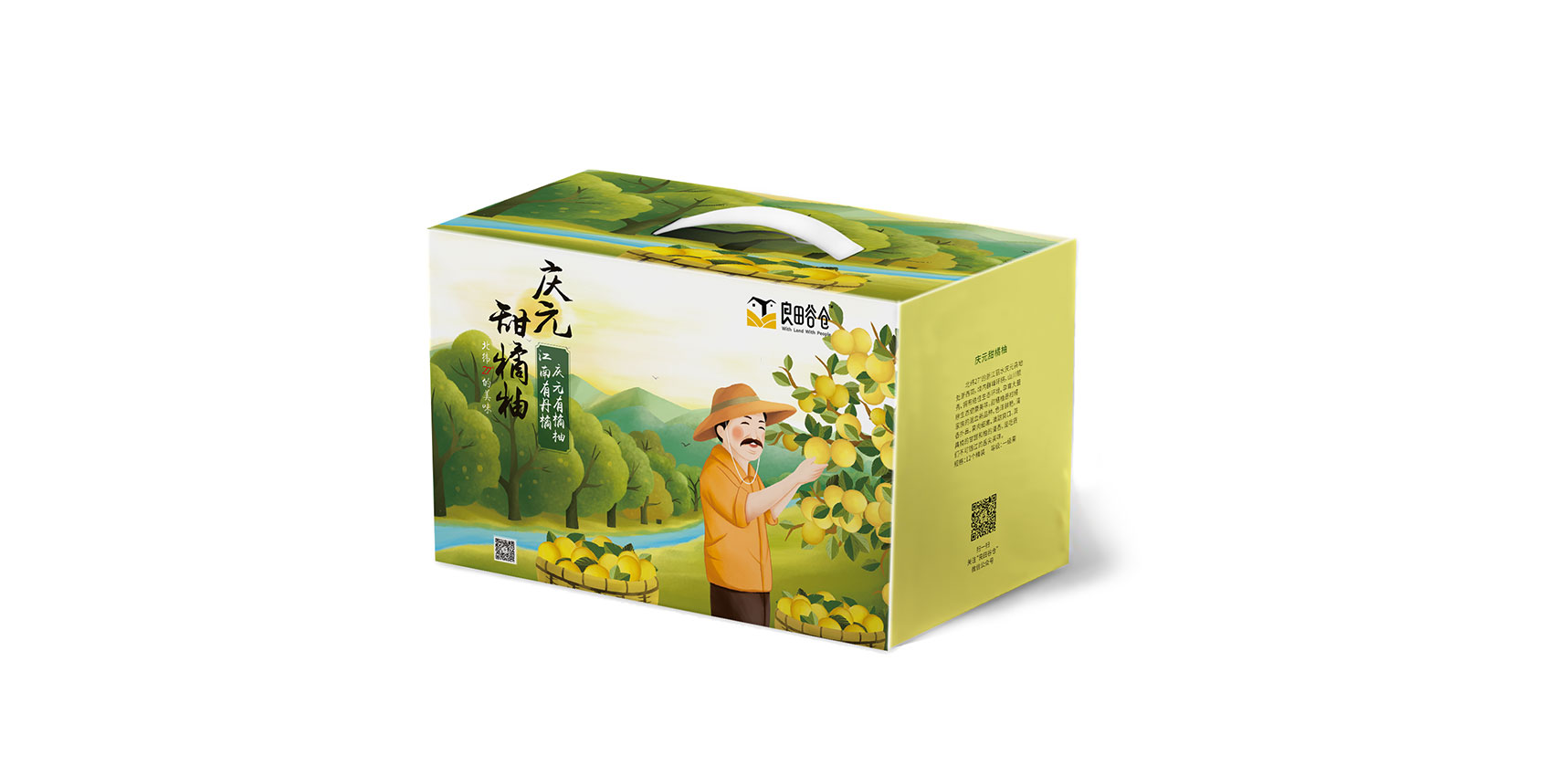 庆元橘柚包装设计