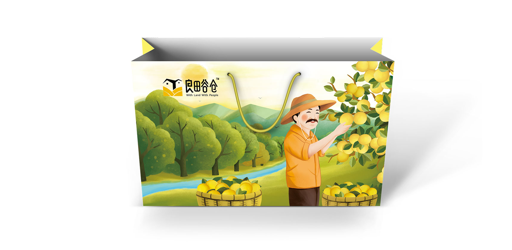 庆元橘柚包装手提袋设计