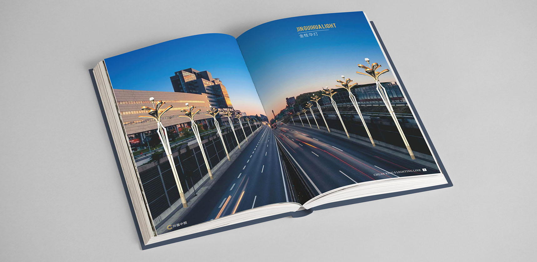 川强中照画册设计，产品宣传册