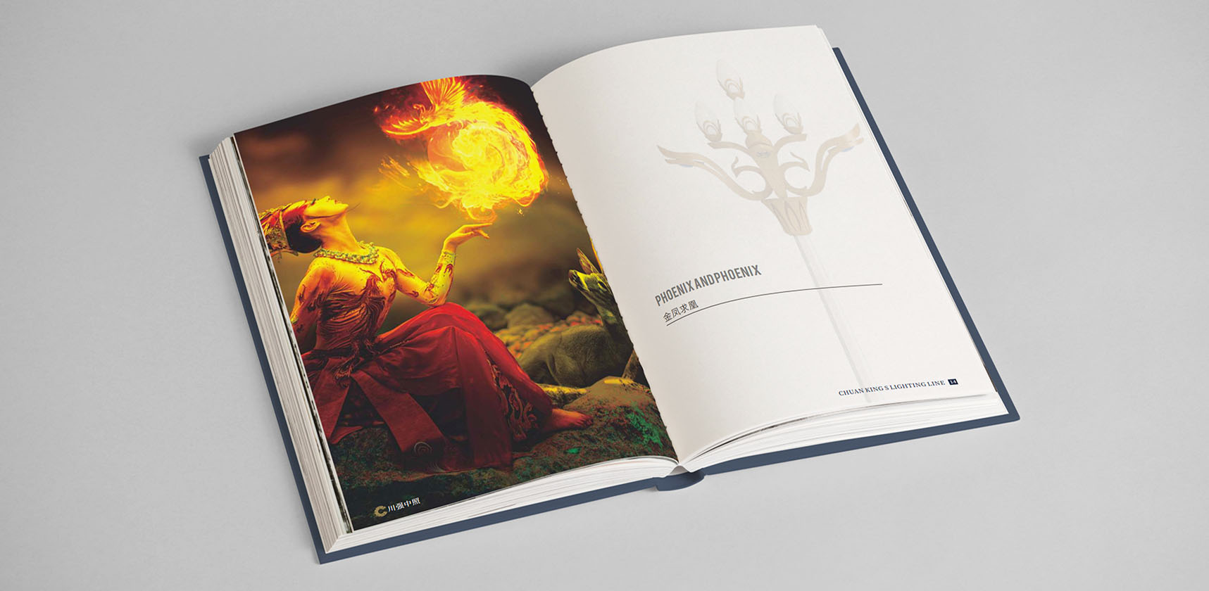 川强中照画册设计，产品宣传册