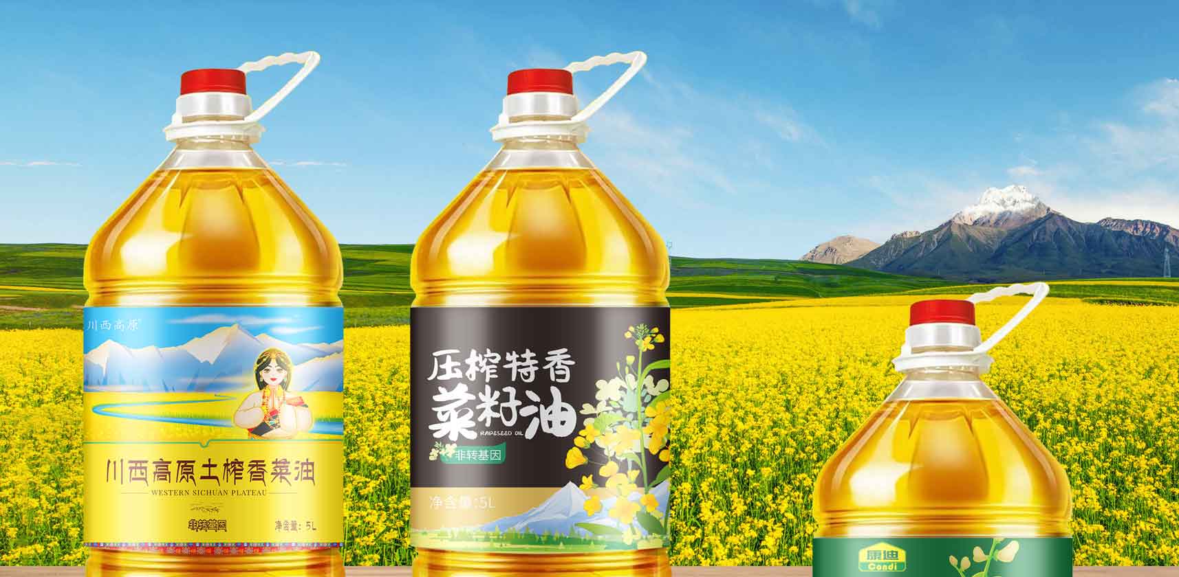 川西高原菜籽油包装设计，菜油包装设计